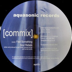 Pochette indicative de l’album Commix — Feel Something / Soul Rebels