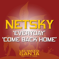 Pochette indicative de l’album Netsky — Everyday / Come Back Home