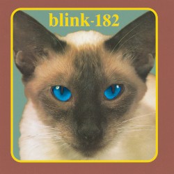 Pochette indicative de l’album Blink-182 — Cheshire Cat