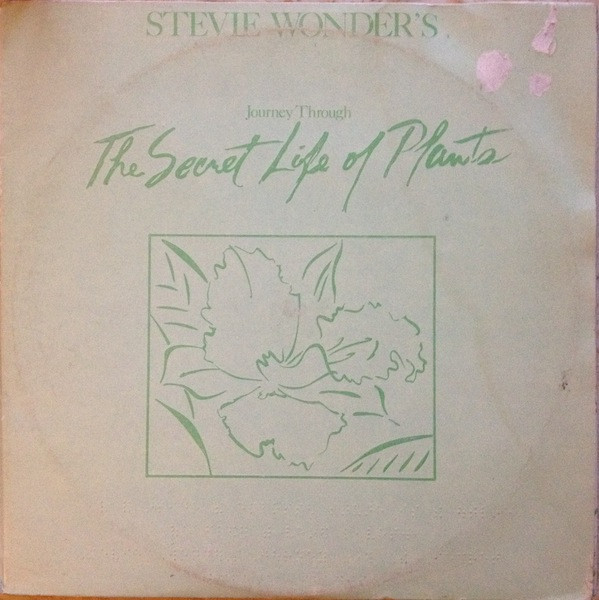 Pochette indicative de l’album Stevie Wonder — Journey Through The Secret Life Of Plants